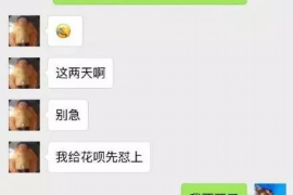 日照融资清欠服务